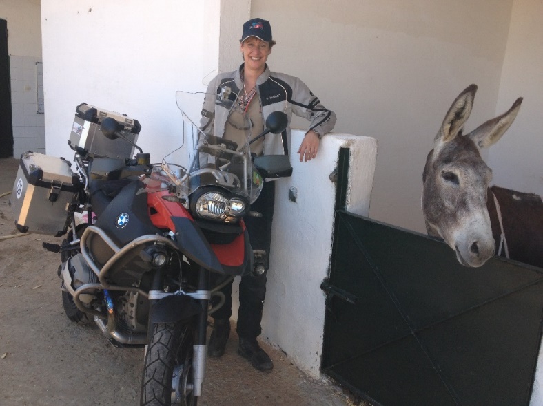 A person standing next to a donkey

Description automatically generated with medium confidence